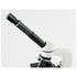 Microscope Biorit 20x-1280x (5101000)