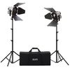 Torches Photo Video Hedler Kit de 2 torches Profilux LED 650 - HED5052