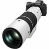 photo Fujifilm X-H2S + 150-600mm