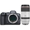 Appareil photo Hybride à objectifs interchangeables Canon EOS R6 + 100-500mm