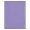photo Westcott Toile de fond infroissable X-Drop - Periwinkle Purple (5' x 7')