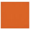 Fonds de studio photo Westcott Toile de fond infroissable X-Drop - Tiger Orange (8' x 8')