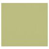 photo Westcott Toile de fond infroissable X-Drop - Light Moss Green (8' x 8')
