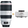 Objectif photo / vidéo Canon EF 100-400mm f/4.5-5.6L IS II USM + Extender EF x1.4 III