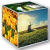 Image du Photo cube 8151 Acrylique Grand 8,5cm x 8,5cm